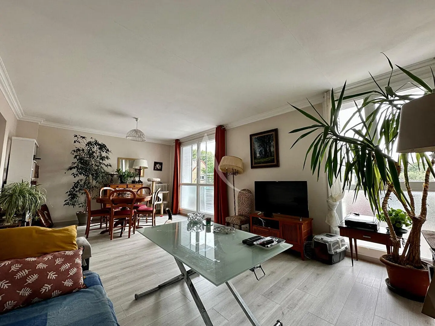 Kuchyňa; kuchynské spotrebiče, drevená podlaha, prirodzené svetlo, moderný štýl, po rekonštrukcii