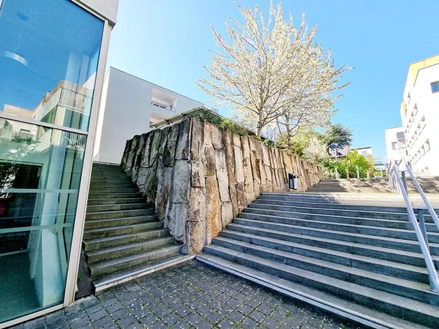 Salon; parquet, lumière naturelle, style moderne, hauteur sous plafond