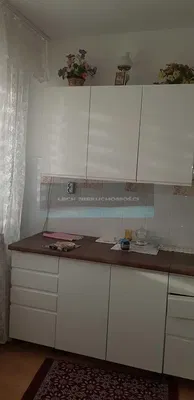 Cuisine; électroménager, parquet, lumière naturelle, style moderne, rénové