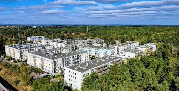 Küche; küchengeräte, holzboden, tageslicht, moderner stil, renoviert