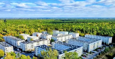 Wohnzimmer; holzboden, tageslicht, moderner stil, hohe decken