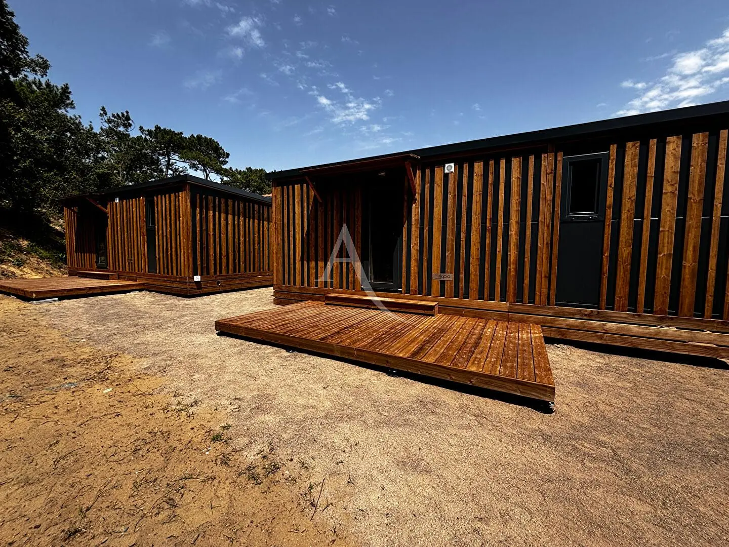 Kitchen; kitchen appliances, wood floor, natural light, modern style, renovated