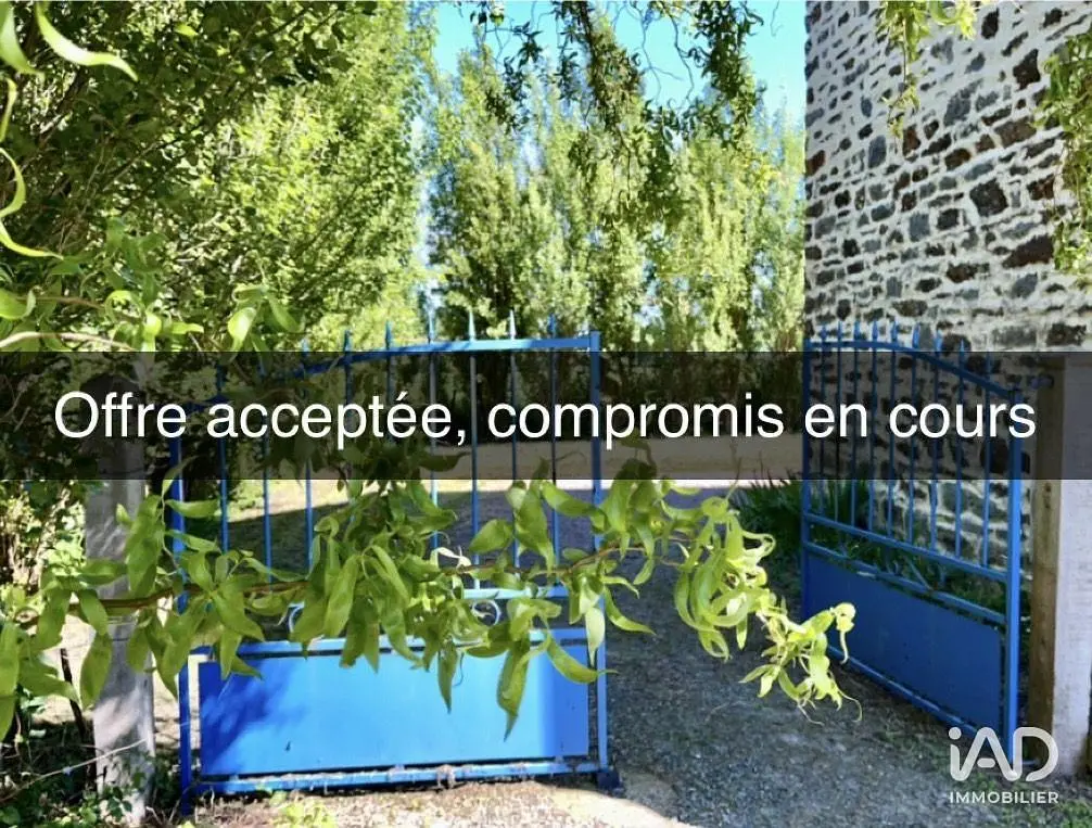 Kitchen; kitchen appliances, wood floor, natural light, modern style, renovated