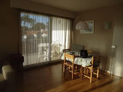 Küche; küchengeräte, holzboden, tageslicht, moderner stil, renoviert