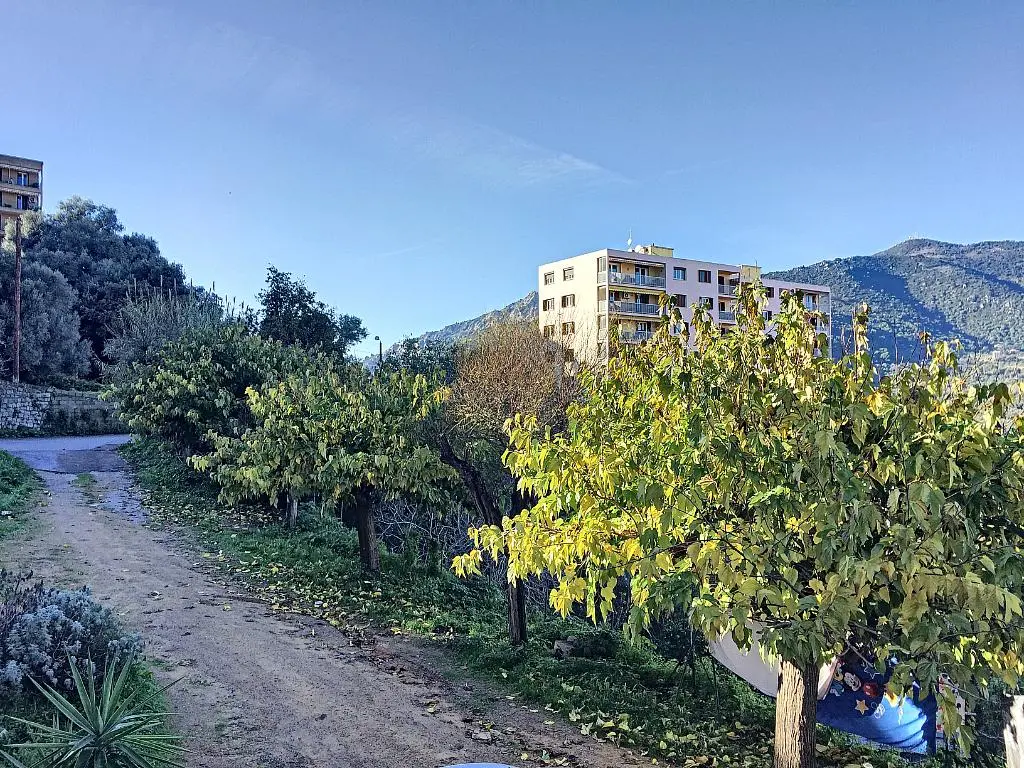 Cocina; electrodomésticos, suelo de madera, luz natural, estilo moderno, renovado