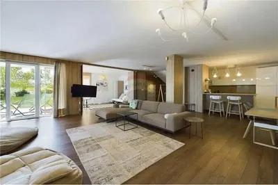 Living room; wood floor, natural light, modern style, high ceiling
