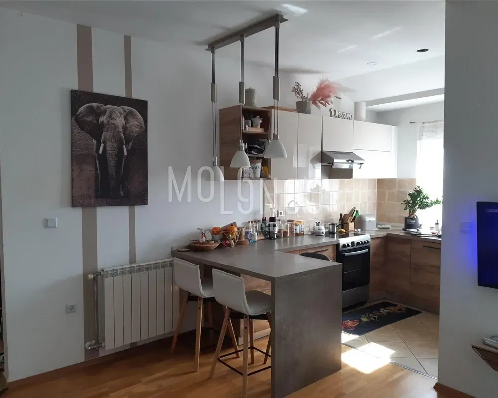 Living room; wood floor, natural light, modern style, high ceiling