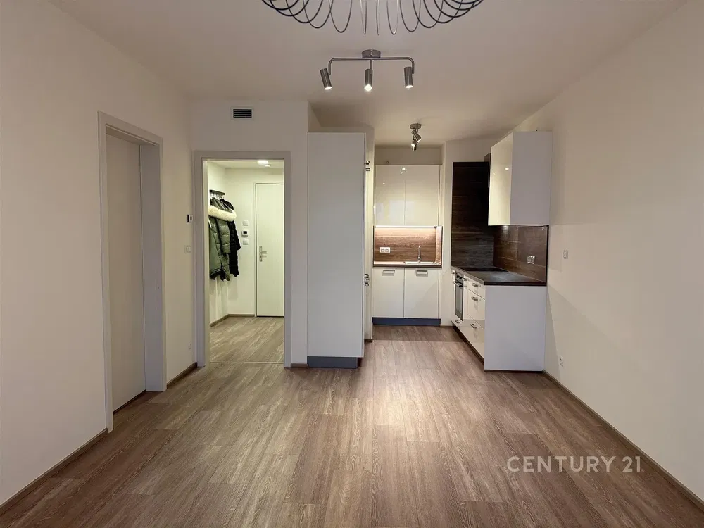 Salon; parquet, lumière naturelle, style moderne, hauteur sous plafond