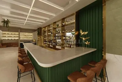 Κουζίνα; συσκευές κουζίνας, ξύλινο πάτωμα, φυσικό φως, μοντέρνο στυλ, ανακαινισμένο