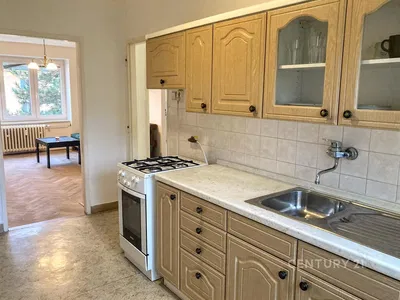 Wohnzimmer; holzboden, tageslicht, moderner stil, hohe decken