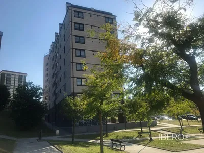 Wohnzimmer; holzboden, tageslicht, moderner stil, hohe decken