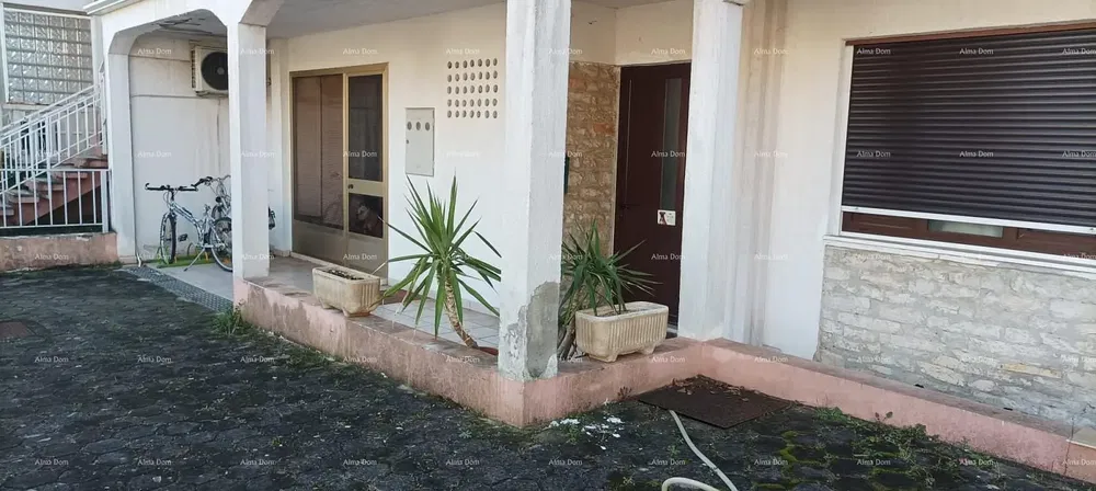 Wohnzimmer; holzboden, tageslicht, moderner stil, hohe decken