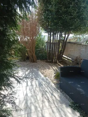 Küche; küchengeräte, holzboden, tageslicht, moderner stil, renoviert