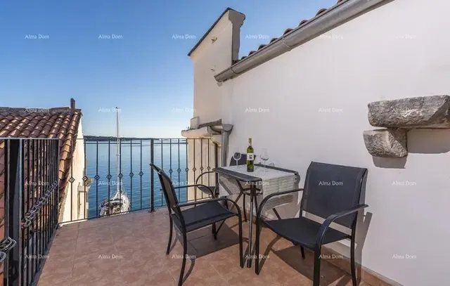 Kuchyně; kuchyňské spotřebiče, dřevěná podlaha, přirozené světlo, moderní styl, po rekonstrukci