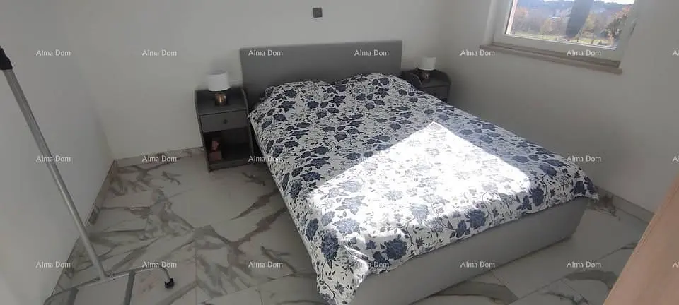 Kitchen; kitchen appliances, wood floor, natural light, modern style, renovated