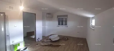 Living room; wood floor, natural light, modern style, high ceiling