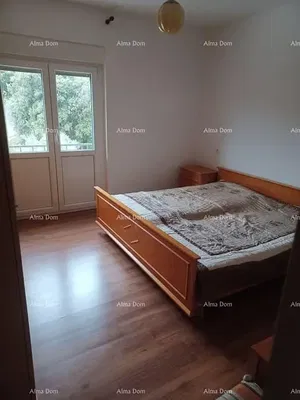 Salon; parquet, lumière naturelle, style moderne, hauteur sous plafond