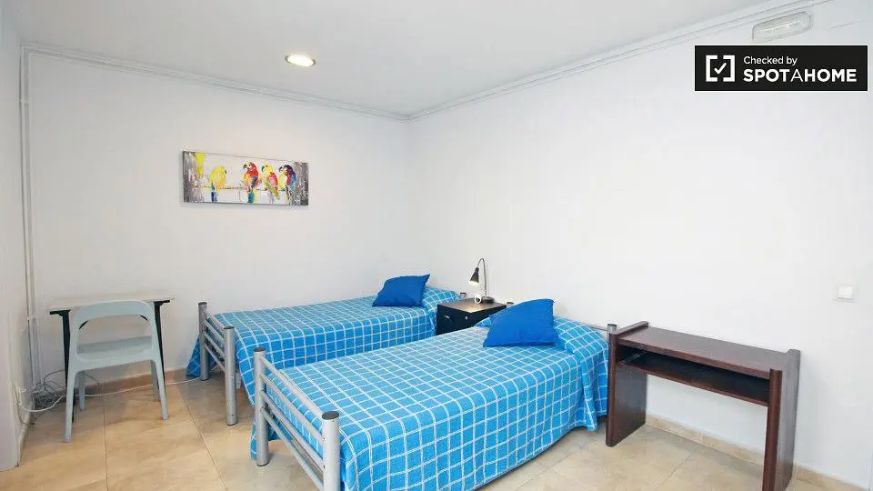 Kitchen; kitchen appliances, wood floor, natural light, modern style, renovated