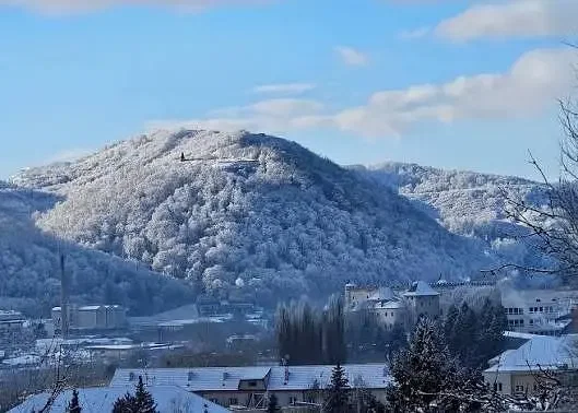 Altro