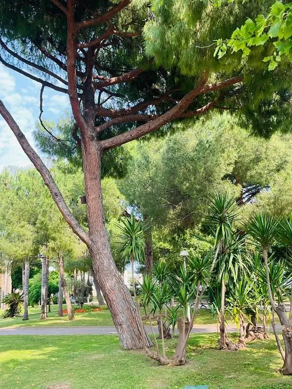 Oturma odası