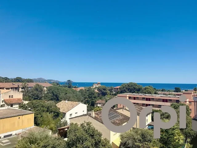 Хол