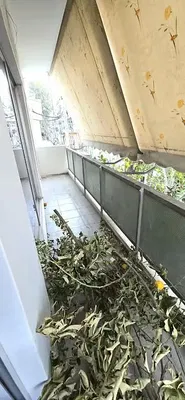 Дневна соба