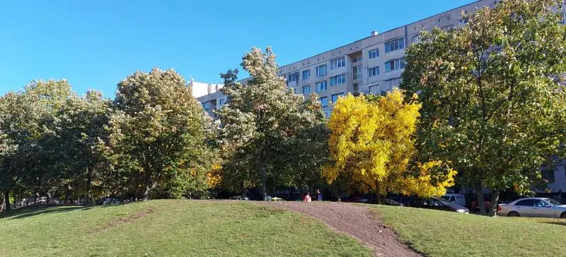 Дневна соба