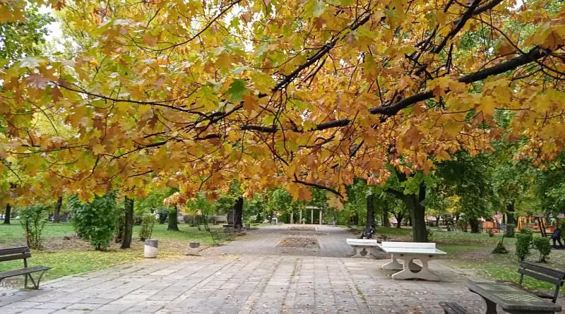 Дневна соба