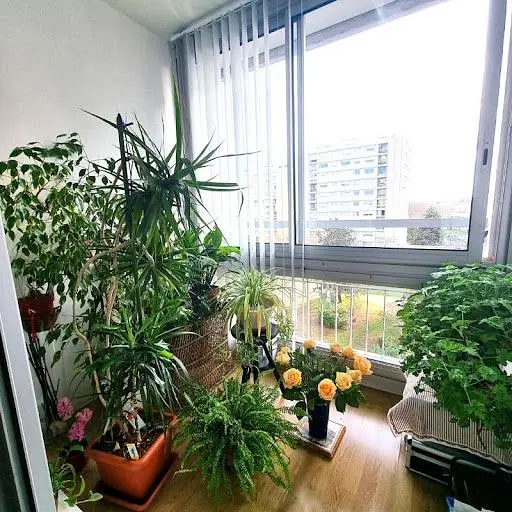 Дневна соба