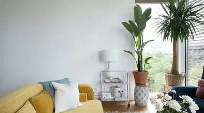 Дневна соба