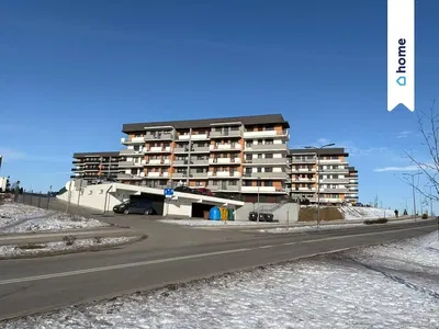 Ostatní