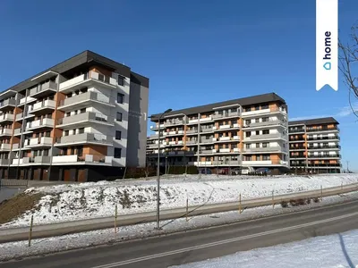 Ostatní