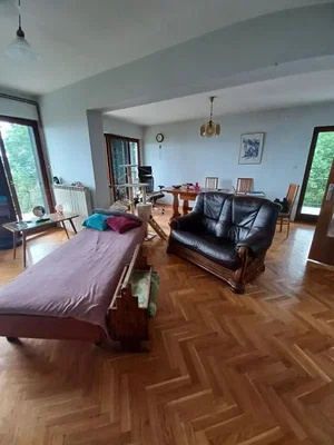 Остало
