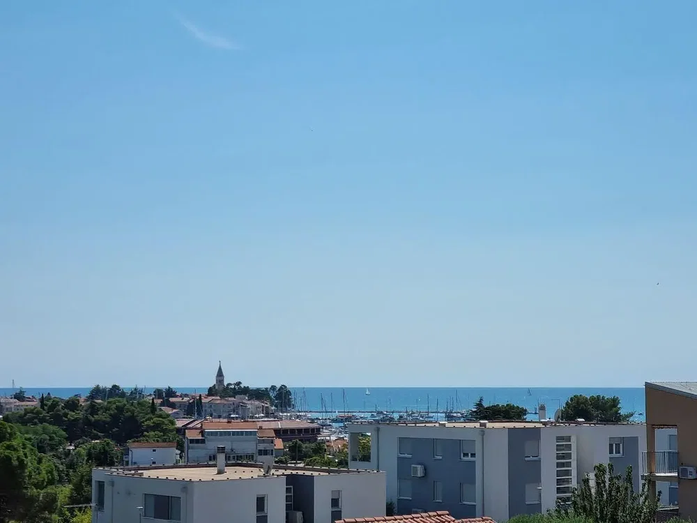 Ostatní