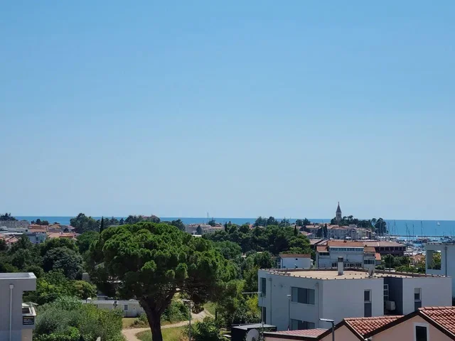 Ostatní