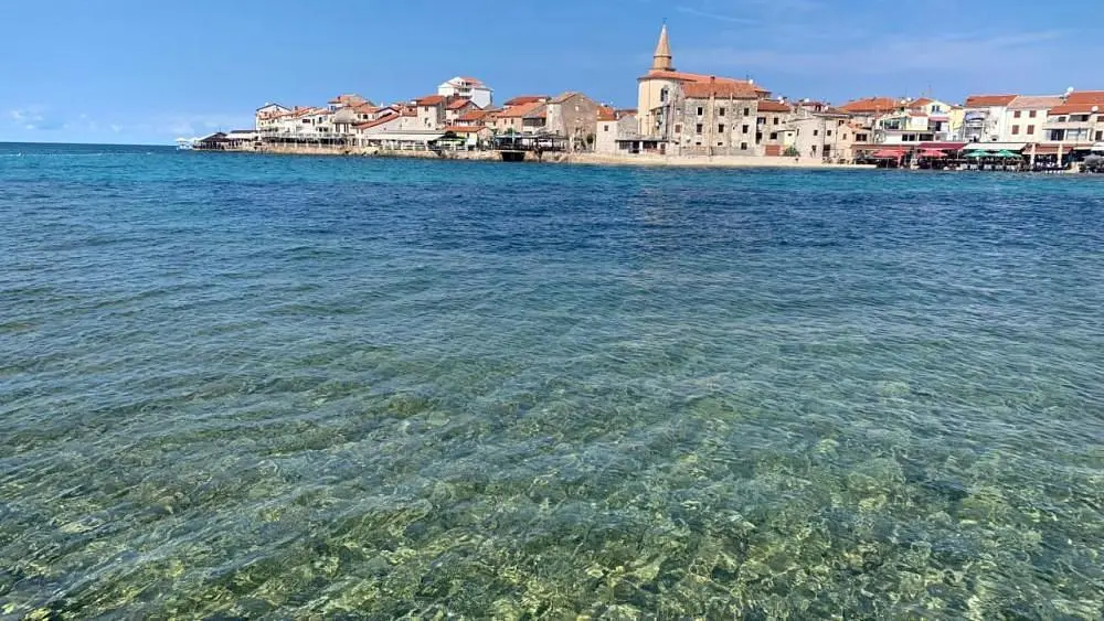 Ostatní