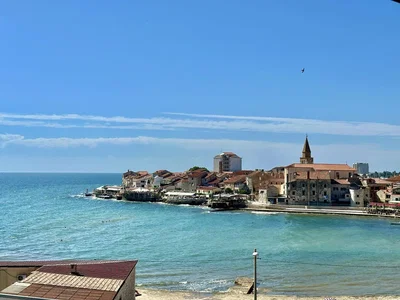 Ostatní