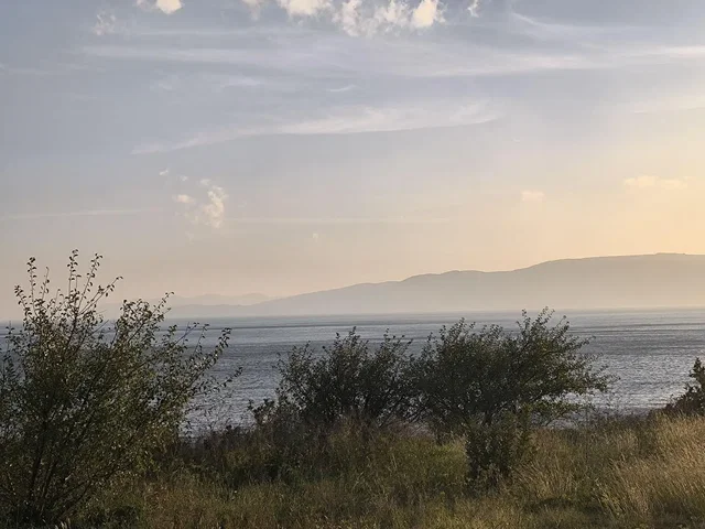 Ostatní