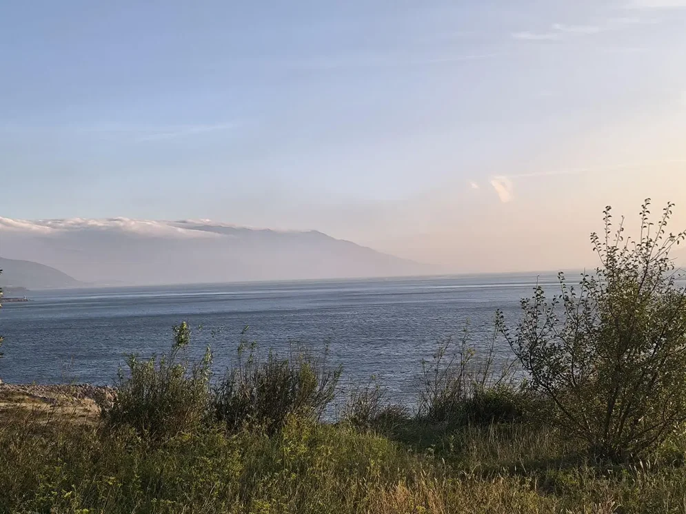 Ostatní