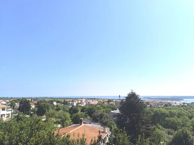 Ostatní