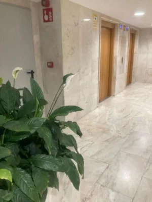 غرفة معيشة