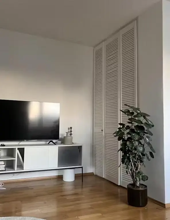 Σαλόνι; ξύλινο πάτωμα, φυσικό φως, μοντέρνο στυλ