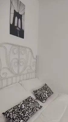 Kitchen; kitchen appliances, wood floor, natural light, modern style