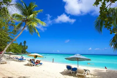 Kuhinja; kuhinjski aparati, drveni pod, prirodno svjetlo, moderni stil