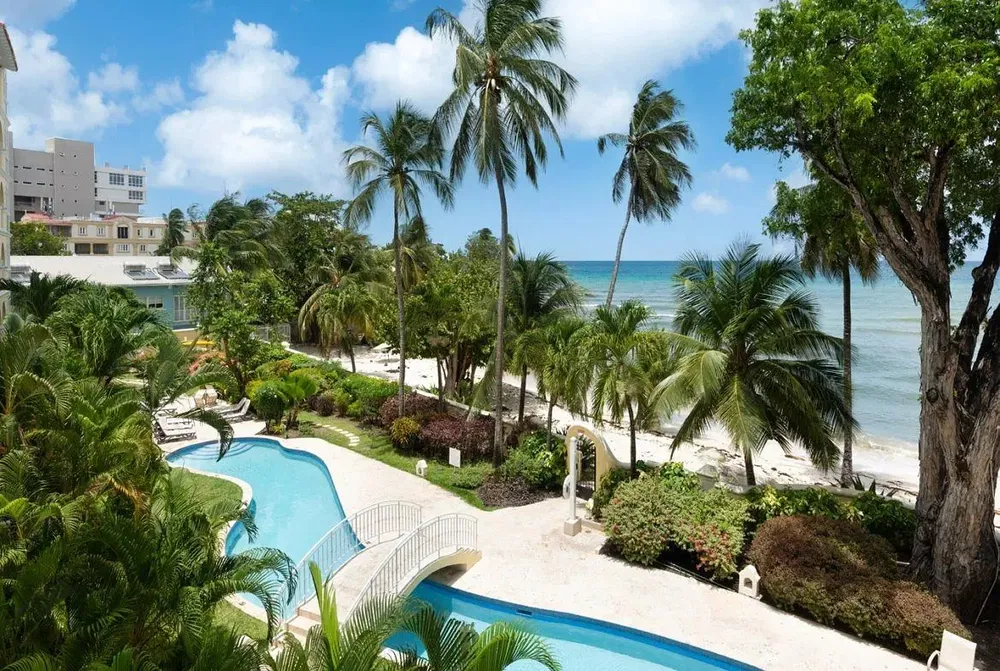 Cuisine; électroménager, parquet, lumière naturelle, style moderne