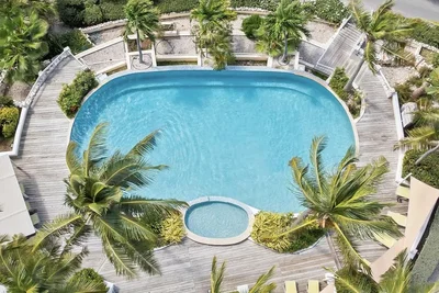 Kitchen; kitchen appliances, wood floor, natural light, modern style
