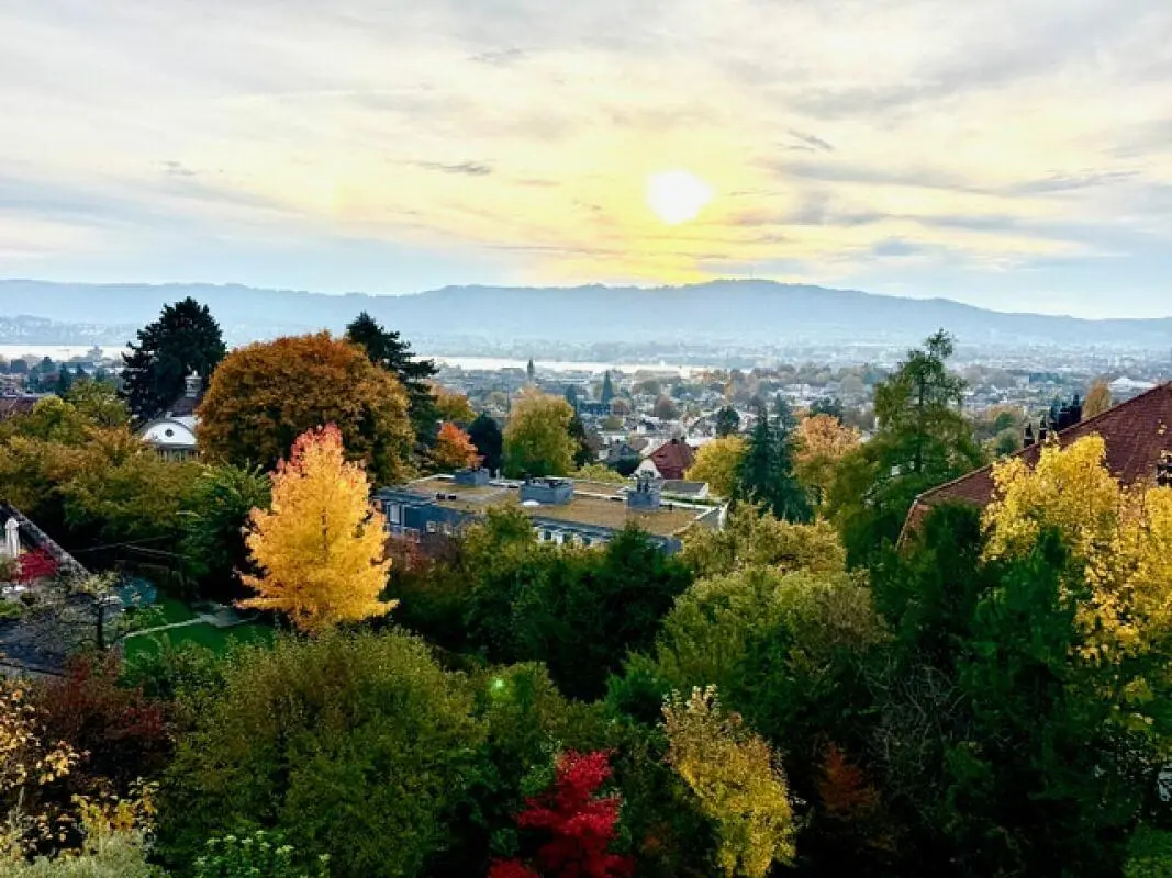 Küche; küchengeräte, holzboden, tageslicht, moderner stil