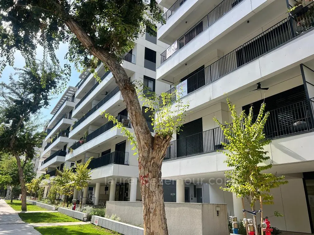 Küche; küchengeräte, holzboden, tageslicht, moderner stil