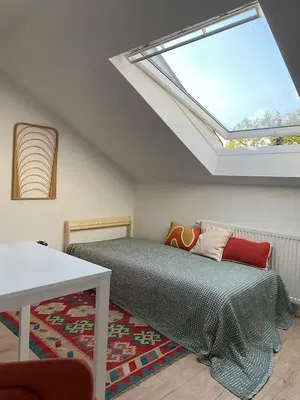 Κουζίνα; συσκευές κουζίνας, ξύλινο πάτωμα, φυσικό φως, μοντέρνο στυλ