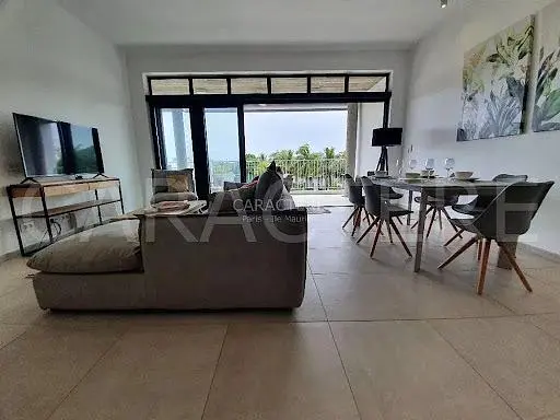 Cuisine; électroménager, parquet, lumière naturelle, style moderne